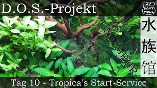 Tag 10  Tropicas StartService  DOSProjekt [upl. by Beard]