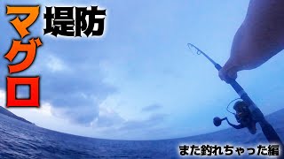 ワタリガラスでまたショアマグロ釣れちゃった編 [upl. by Claudetta]