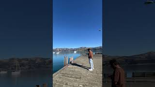 minivlog akaroa couplegoals memories ✌️ [upl. by Britton]