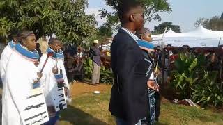 Ndebele traditional wedding [upl. by Egwan]