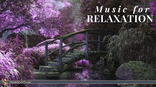 Positive Thinking amp Brain Power  Music for Relaxation and Concentration [upl. by Amandie]