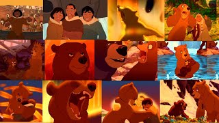 Brother Bear  On My Way 12 Hours Extended [upl. by Tali]