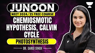 Photosynthesis  Chemiosmotic Hypothesis Calvin Cycle  NEET 2024  Dr Gargi Singh [upl. by Eetsim]