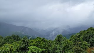 Sakleshpura to Subramanya Train Journey [upl. by Lenssen804]