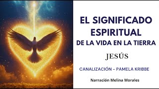 El Significado Espiritual de la Vida en la Tierra 💗💫 Mensaje de Jeshua 🦋Canalización Pamela Kribbe [upl. by Cumings247]