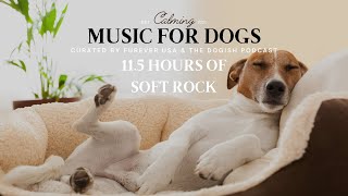 Calming Dog Music To Make Them Happy  11 hours Soft Rock [upl. by Alisun]