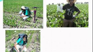 Remote Sensing in Agriculture [upl. by Aisetra]