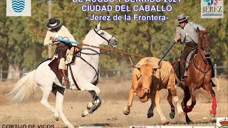 XI CAMPEONATO INTERCOMUNITARIO ESPAÑA DE ACOSO Y DERRIBO 2021 CIUDAD DEL CABALLO FINAL [upl. by Irpac]