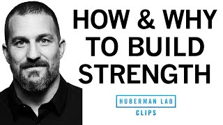 The quot3 by 5quot Protocol How amp Why to Build Your Strength [upl. by Lihp781]