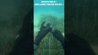 INCROYABLE  Des lunettes de soleil  plongéesousmarine scubadiving asmr [upl. by Eyatnod]