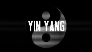 USS  Yin Yang OFFICIAL LYRIC VIDEO [upl. by Ehtylb]