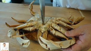 GRAPHIC Dungeness Crab Gratin [upl. by Milks82]