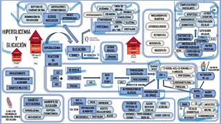 HIPERGLICEMIA Y GLICACIÓN [upl. by Rivalee157]