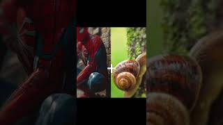 Spider man hybridanimation animals treanding youtubeshorts viralshort viralreels spiderman [upl. by Perrine]