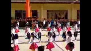 Grade One Field Demo 2014 flaglets dance [upl. by Suoivart]