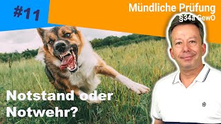 Notwehr oder Notstand  mögliche Fragen in der mündlichen Prüfung [upl. by Arahsak]