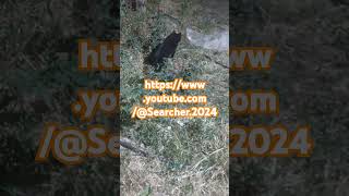 httpswwwyoutubecomSearcher2024 travel followMove to a new channel [upl. by Aropizt]