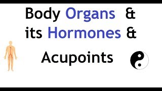 Body Organs amp its corresponding Hormones and acupressure points [upl. by Pooi]