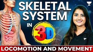 Skeletal System in 3D  Locomotion and Movement  NEET 2024  Seep Pahuja [upl. by Decima202]