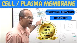 Cell or Plasma Membrane  Structure  Function amp Transport🧬 [upl. by Holcman]