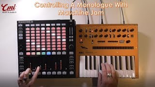 Maschine Jam How to control a Korg Monologue with Maschine Jam [upl. by Nyrad911]