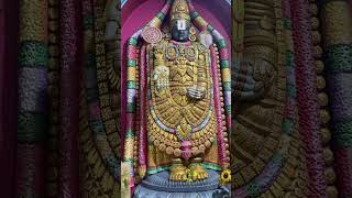 youtubeshorts beautifultirumala tirupatitemple hindutemple tirumalatirupatitemple govinda [upl. by Niccolo]