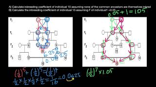 Inbreeding calculations explained [upl. by Eitteb]