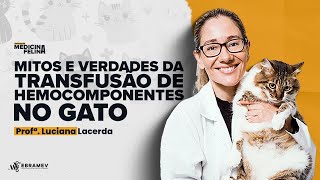 SEMANA DA MEDICINA FELINA  Aula 03 Mitos e Verdades da Transfusão de Hemocomponentes no Gato [upl. by Swithin437]