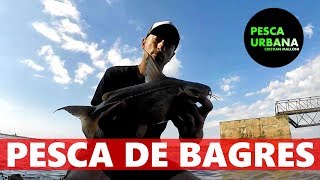 PESCANDO BAGRES PARTE 1 PESCA URBANA Street Fishing [upl. by Niall493]