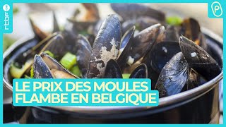 Le prix des moules frites et des croquettes s’envolent en Belgique  On nest pas des Pigeons [upl. by Onfroi]