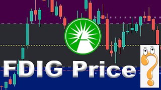 FDIG Price Prediction  Fidelity Crypto Industry amp Digital Payments ETF Analysis [upl. by Ajaj]