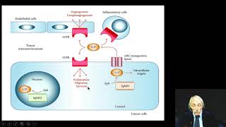 Sphingosine 1PO3 in Human Disease Dr Guerra January 2018 [upl. by Liatnahs240]