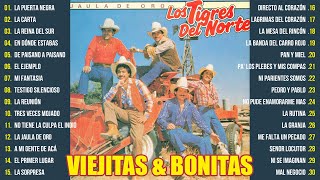 LOS TIGRES DEL NORTE MIX DE VIEJITAS NORTEÑAS PA PISTEAR  2 HORAS MIX PUROS CORRIDOS DEL RECUERDO [upl. by Rosen477]