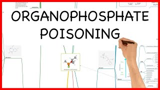 ORGANOPHOSPHATE POISONING LATEST VERSION PHARMACOLOGY SERIES [upl. by Pallas]