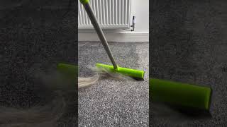 Get the Broom using LlNK lN BlO💁🏼‍♀️ pethairremoval cleantok pethairremover pethairremovaltool [upl. by Tam31]