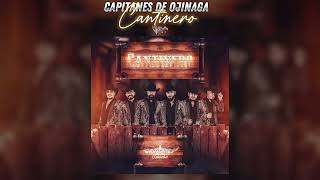 Capitanes De Ojinaga  Cantinero LETRA 2024 [upl. by Nylanej]