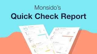 Monsidos Quick Check Report [upl. by Gillmore]