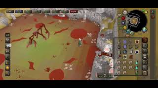 osrs  Sarachnis low budget [upl. by Aleacem]