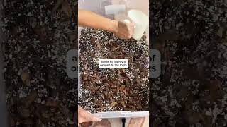 my tried and true DIY soil mix plants planttips plantcare shorts fyp viralvideo houseplant [upl. by Turro]