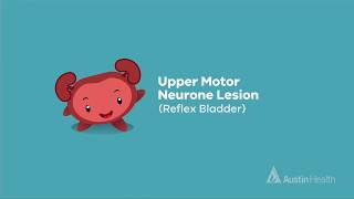 Upper motor neurons  Organ Systems  MCAT  Khan Academy [upl. by Ymma331]