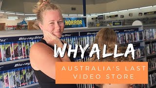 Whyalla South australia  last video store in australia  dolphins and false bay [upl. by Akinom]