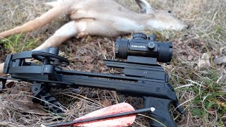 Deer Hunting with a Bat  Ballista Bat Pistol Crossbow [upl. by Enelrak]