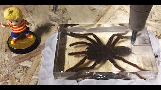 🕷️ Dissecting A Real Tarantula With A 60000 PSI Waterjet Biology Lesson 🕷️ Interesting [upl. by Hamlen737]