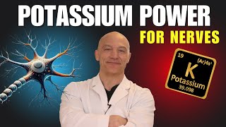 The Surprising Power of Potassium for Nerves  The Nerve Doctors [upl. by Ennywg]