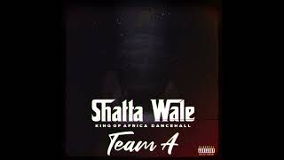 Shatta Wale  Fool Is The Last To Know Official Video [upl. by Girish467]