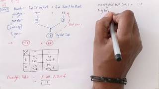 NCERTGeneticsTest Cross and Back Cross Hindi Easy way [upl. by Andel]