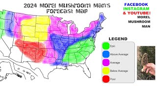 2024 Morel Mushroom forecast Will your area be a boom or bust Morel Season [upl. by Ynoffit611]