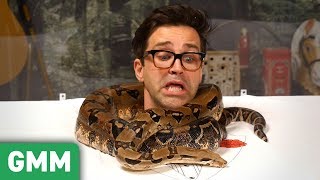 Trapped in a Snake Tank Pt 2 6ft Boa Constrictor [upl. by Eric]