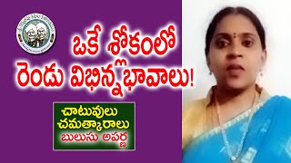 ఒకే శ్లోకంలో రెండు విభిన్నభావాలు  Chatuvulu  Bulusu Aparna  Kopparapu Kavulu [upl. by Allertse549]