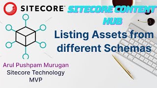 Listing Assets from different Schemas [upl. by Ssirk279]